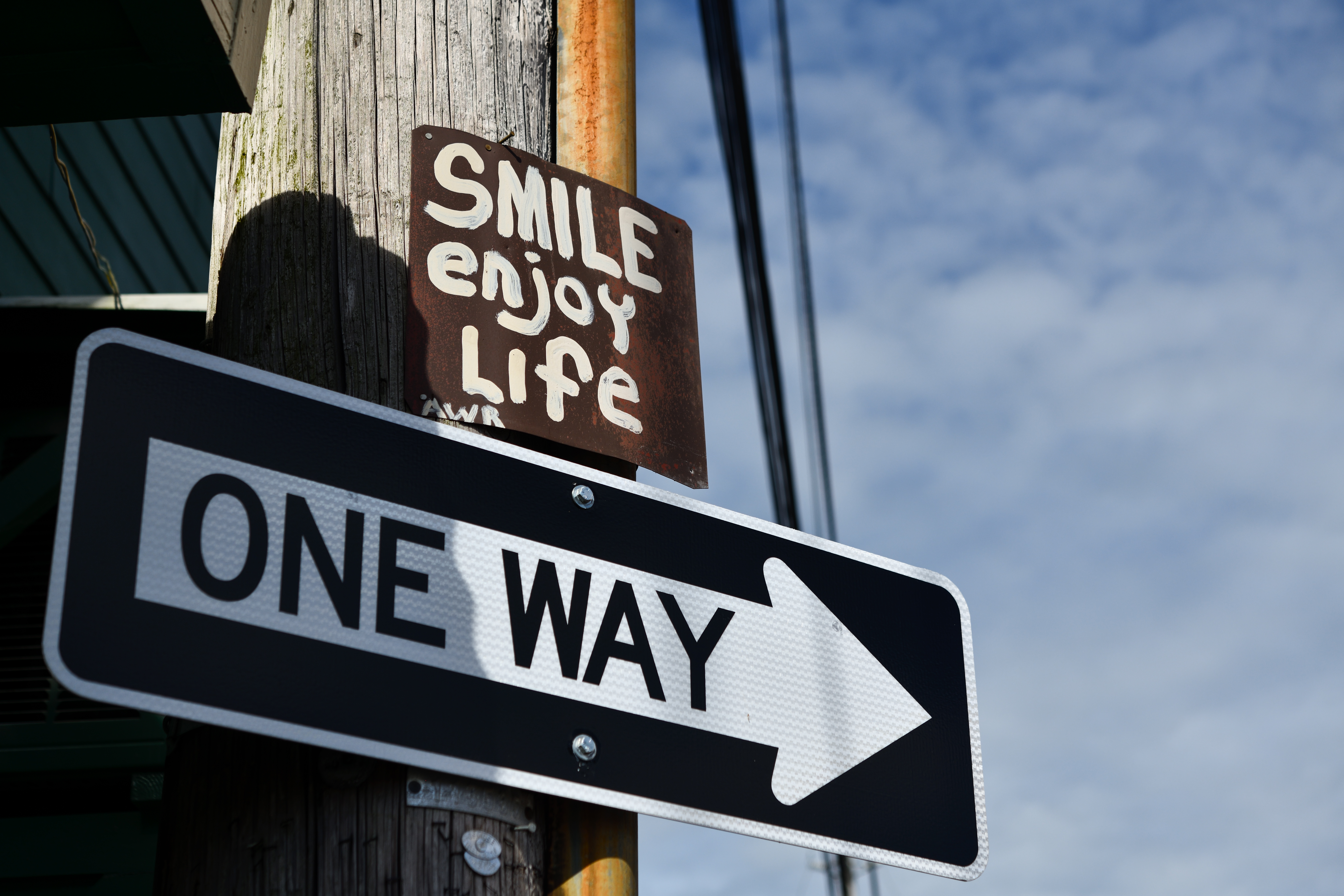 撮影：山口規子<br><span class="fnt-85">ニコン D850 / AF-S Micro NIKKOR 60mm f/2.8G ED / 60mm / マニュアル露出（F5.6・1/2,000秒） / ISO 100</span>