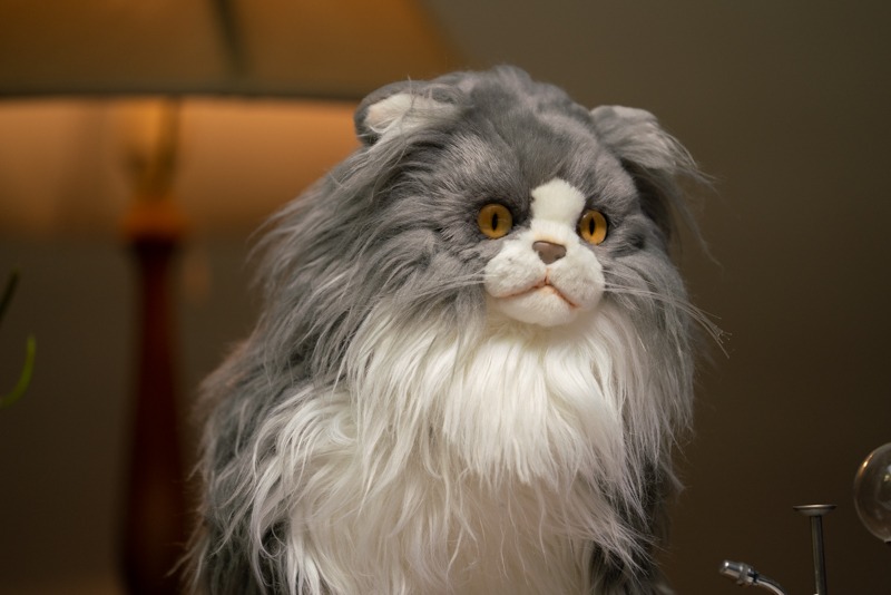 撮影：大村祐里子