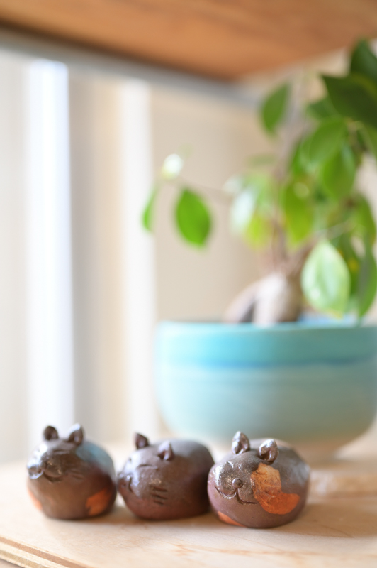 Z 6 / NIKKOR Z 50mm f/1.8 S / 50mm / 絞り優先AE（F1.8・1/125秒・+1.7EV） / ISO 400 / アクティブD-ライティング：標準 / ピクチャーコントロール：ポートレート