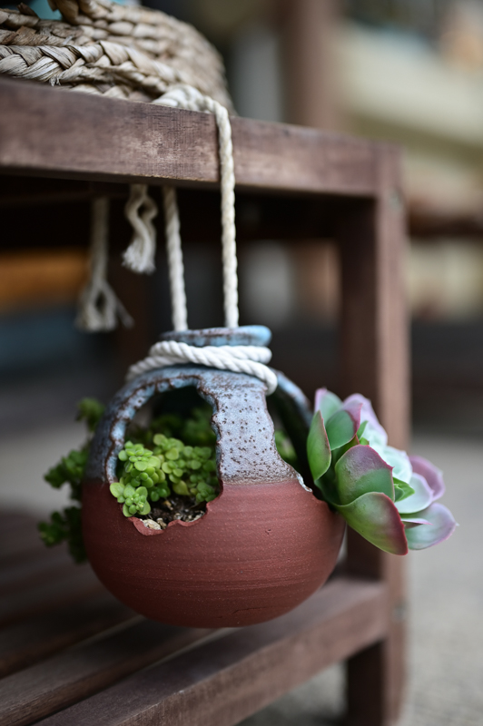 Z 6 / NIKKOR Z 50mm f/1.8 S / 50mm / 絞り優先AE（F1.8・1/3,200秒・+0.3EV） / ISO 400 / アクティブD-ライティング：弱め / ピクチャーコントロール：風景