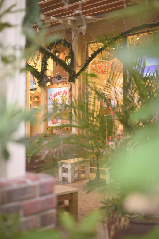 Z 6 / NIKKOR Z 50mm f/1.8 S / 50mm / 絞り優先（F1.8・1/250秒・+0.7EV） / ISO 400 / アクティブD-ライティング：標準 / ピクチャーコントロール：クリエイティブピクチャーコントロール ドリーム