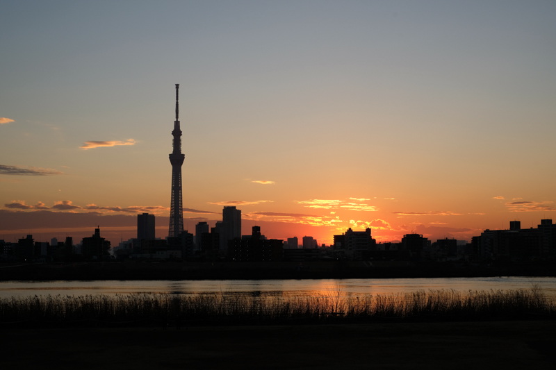 「金八先生」で有名な荒川を挟んで、向こうが墨田区、こちらが葛飾区。住んでいた頃、夕方荒川までランニングするのが日課だった。その頃よく見た光景。住み始めた頃は、まだスカイツリーは立っていなかった。<br><span class="fnt-85">X-Pro2 / XF35mmF1.4 R / 35mm（52.5mm相当） / 絞り優先AE（1/160秒・F9.0・±0EV） / ISO 200</span>