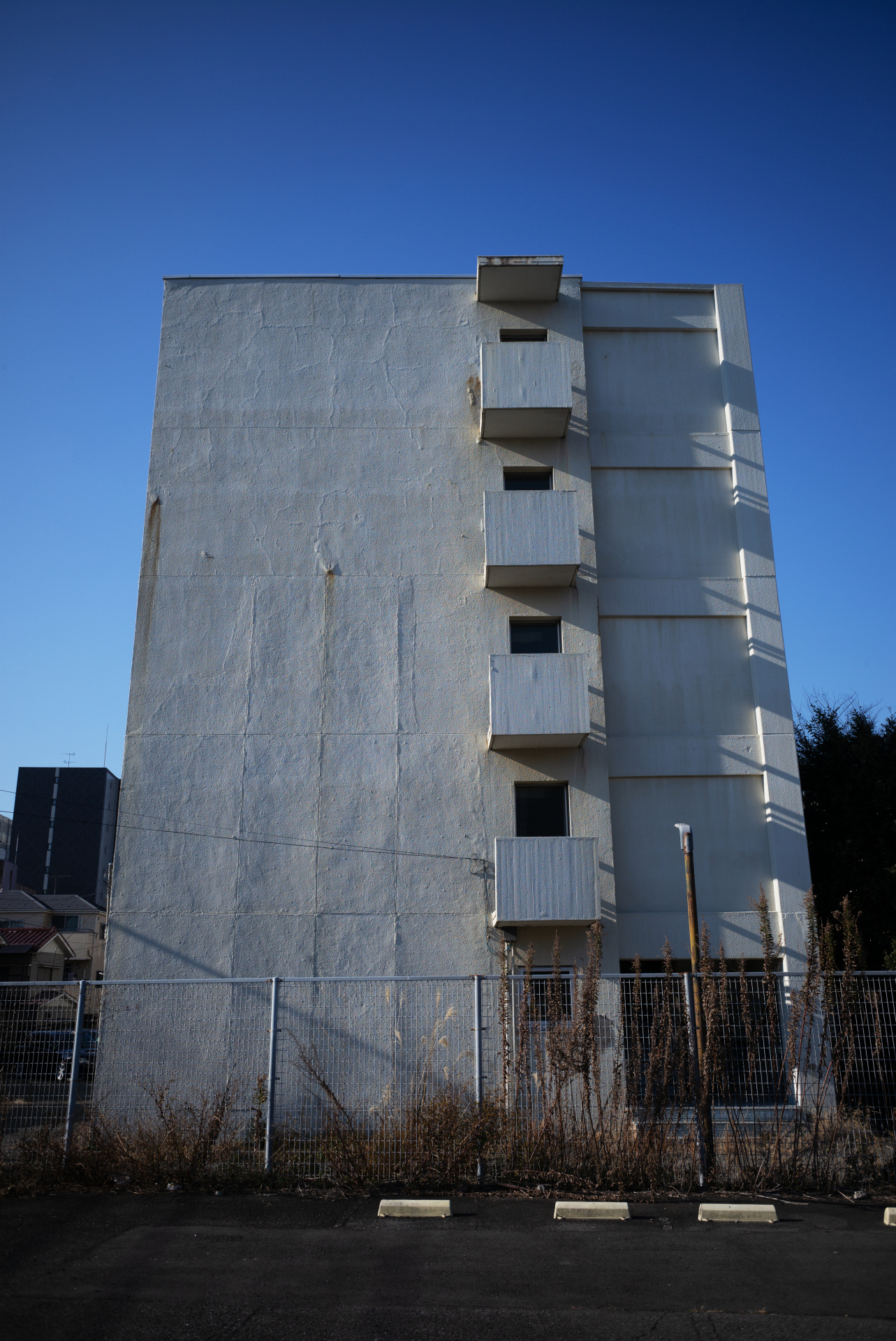 コントラストは高めでメリハリのある描写。ライカM(Typ240) / ISO200 / F8 / 1/500秒 / WB:オート