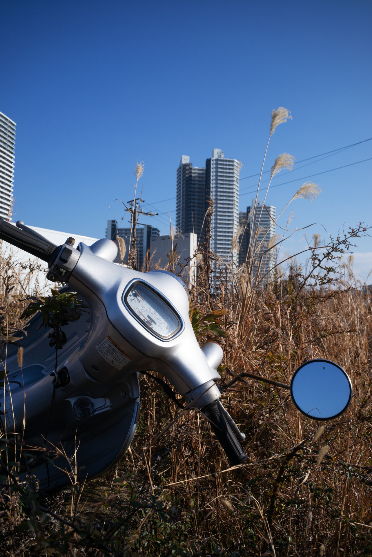 最短撮影距離は1mまでだが、絞り込めばもう少し近くまでピントは合う。ライカM(Typ240) / ISO200 / F11 / 1/350秒 / WB:オート