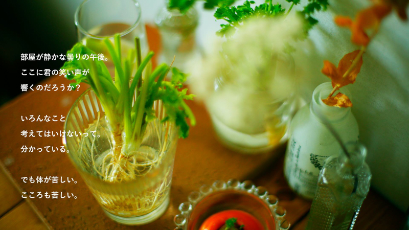 セミナーで使用した資料より（鈴木さや香さん制作）