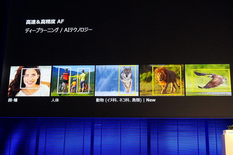 AFは、顔・瞳と人体の検出に加え、動物（イヌ科、ネコ科、鳥類）にも対応。人体や瞳を検出しつつ、動物の検出だけをオフにすることも可能。
