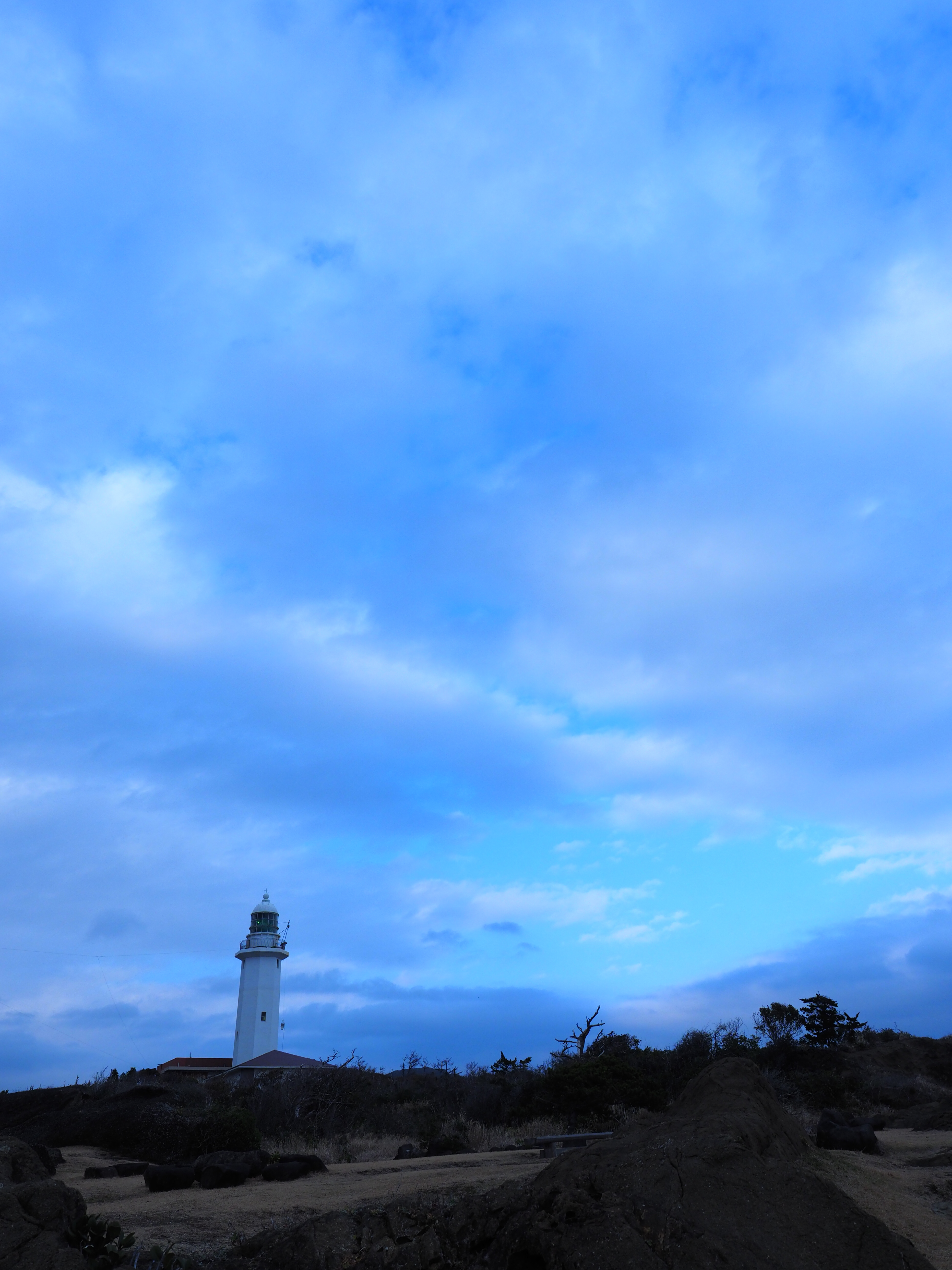 OLYMPUS OM-D E-M1 Mark II / M.ZUIKO DIGITAL ED 12-40mm F2.8 PRO / 12mm / 絞り優先AE（F5.6・1/640秒・±0EV） / ISO 200