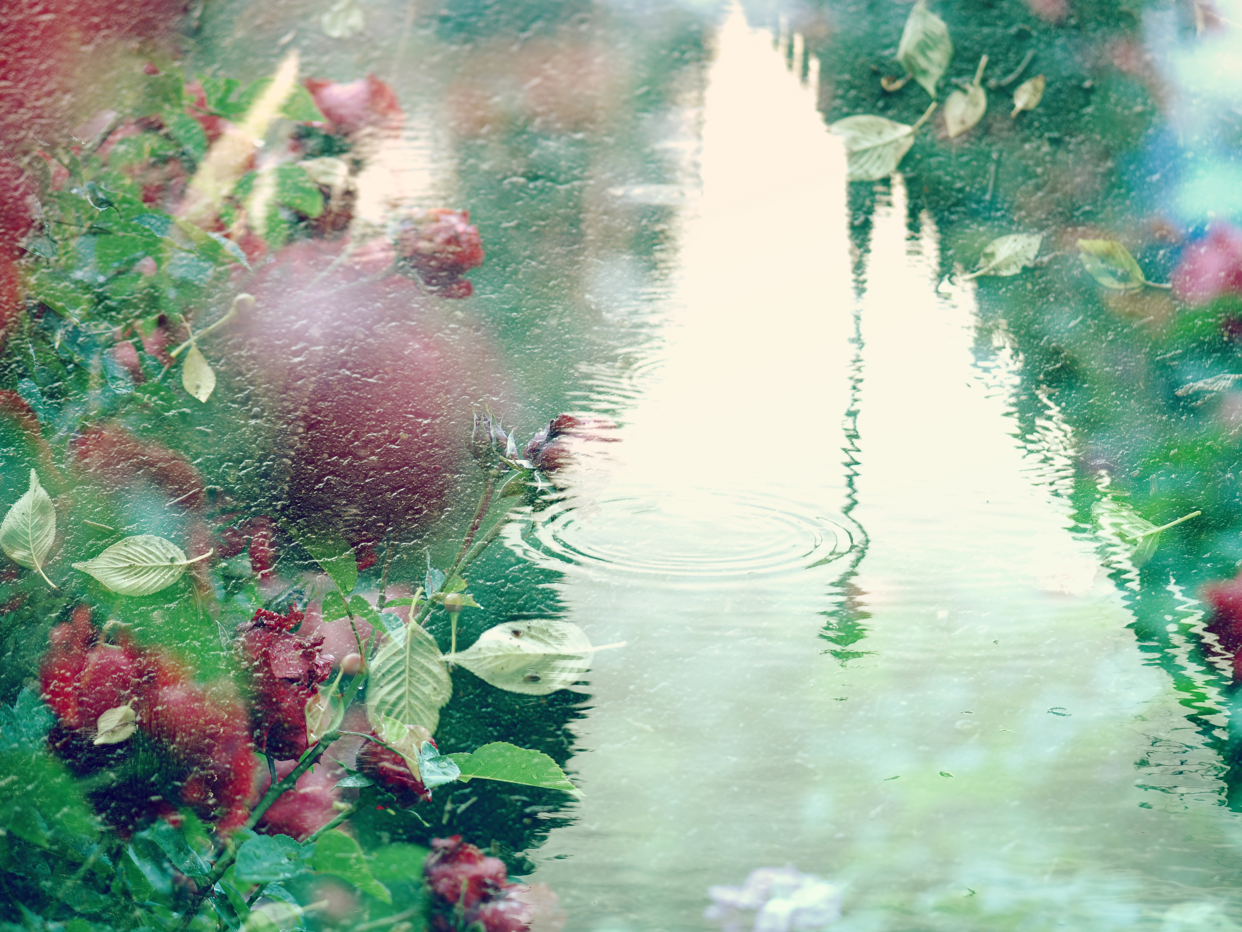 撮影：市ノ川倫子<br><span class="fnt-85">OLYMPUS OM-D E-M1 Mark II / M.ZUIKO DIGITAL ED 45mm F1.2 PRO / 45mm / マニュアル露出（F1.2、1/1,250秒） / ISO LOW（ISO 64相当）</span>