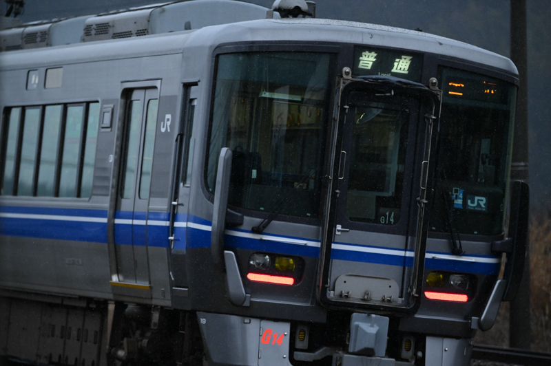 筆者撮影。Z 7 / AF-S NIKKOR 80-400mm f/4.5-5.6G ED VR / 260mm / マニュアル（F6.3・1/1,600秒） / ISO 6400