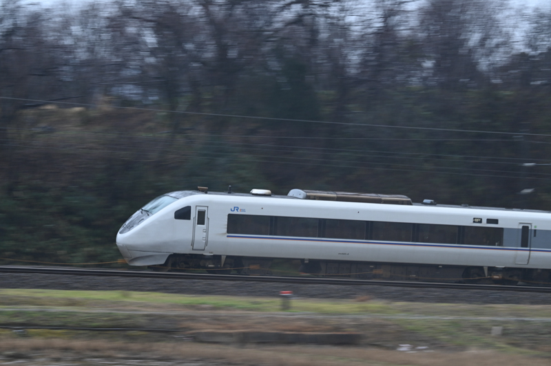 筆者撮影。Z 7 / NIKKOR Z 24-70mm f/4 S / 140mm / マニュアル（F10・1/60秒） / ISO 500