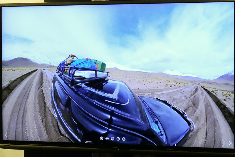 車から腕を出して撮影した例。