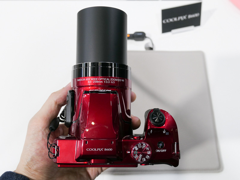 望遠端1,440mm相当にズーミングしたところ。