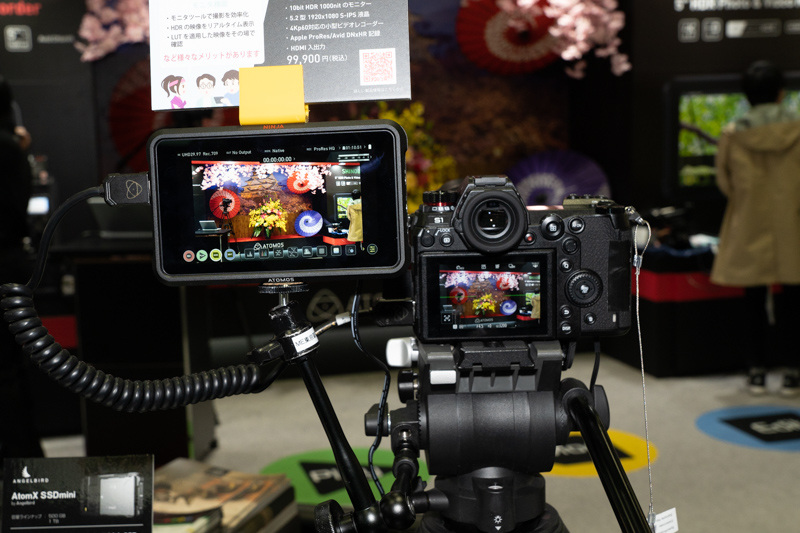 NINJA Vは4K/60pの表示が可能