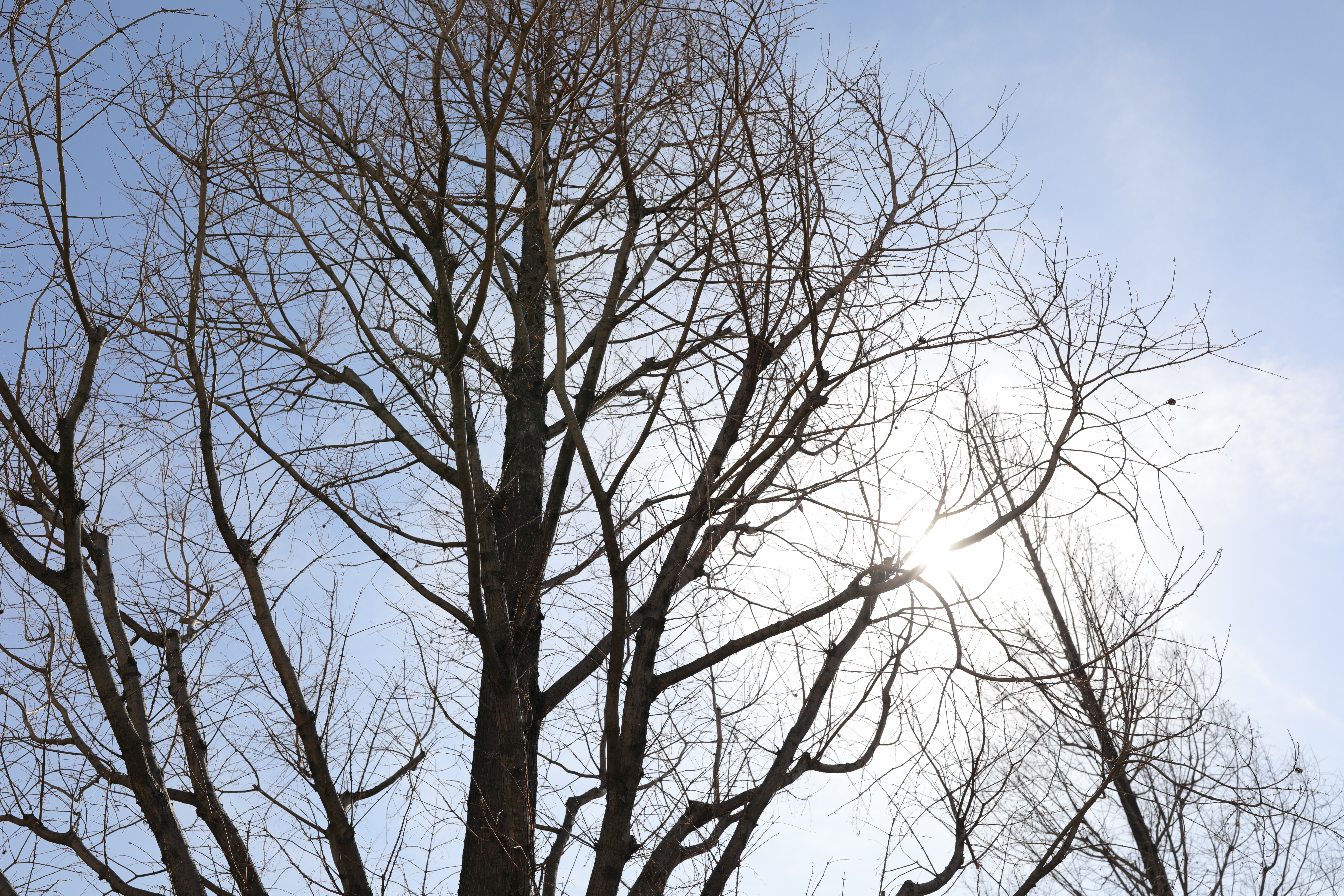 EOS 5D Mark IV / SIGMA 28mm F1.4 DG HSM | Art / 28mm / 絞り優先AE（1/500秒・F5.6・+1.3EV） / ISO 100