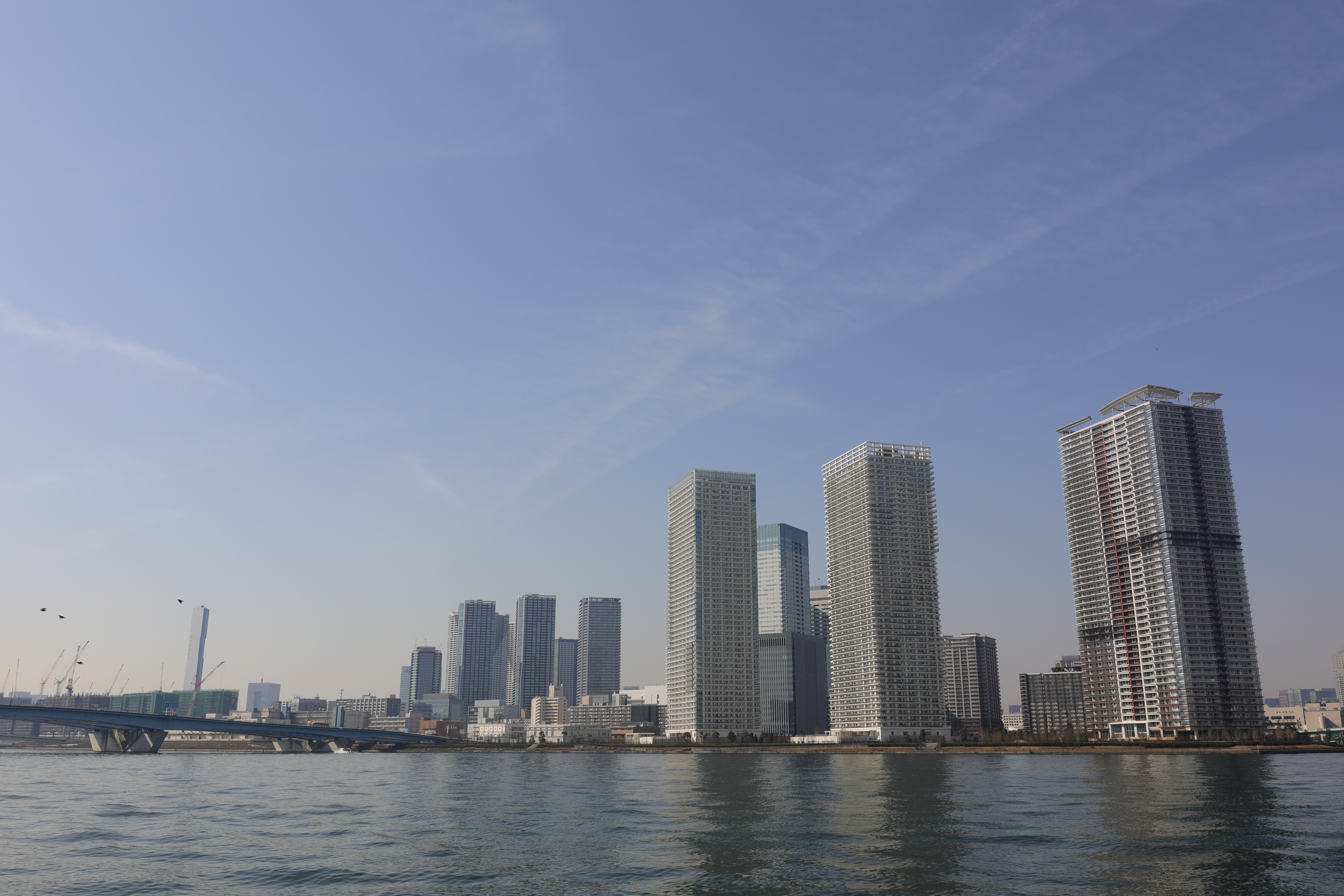 EOS 5D Mark IV / SIGMA 28mm F1.4 DG HSM | Art / 28mm / 絞り優先AE（1/400秒・F8.0・+0.3EV） / ISO 100