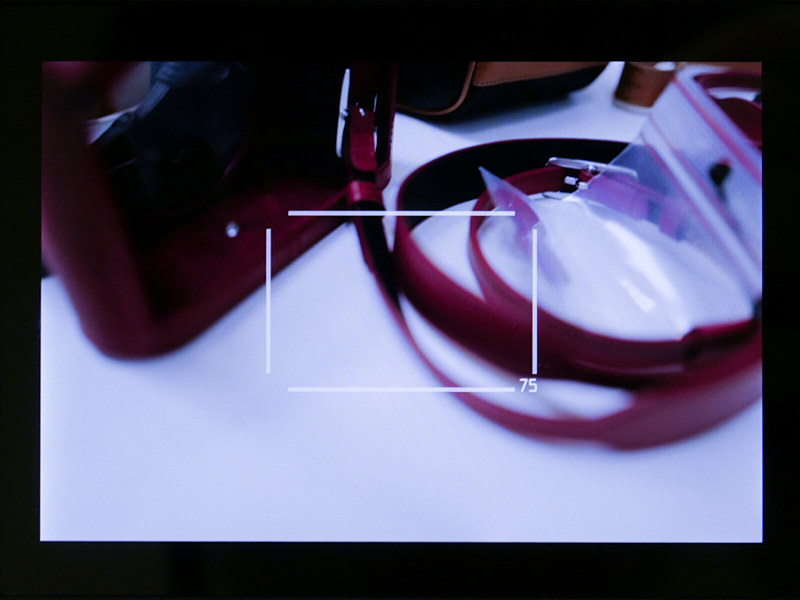 75mmクロップ。全体のライブビュー画角は変わらない。