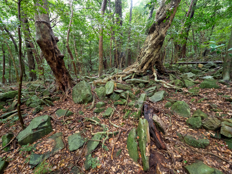 撮影：礒村浩一<br><span class="fnt-85">OLYMPUS OM-D E-M1 Mark II / M.ZUIKO DIGITAL ED 7-14mm F2.8 PRO / 7mm / 絞り優先AE（F5.6・1/15秒・-1EV） / ISO 800</span>
