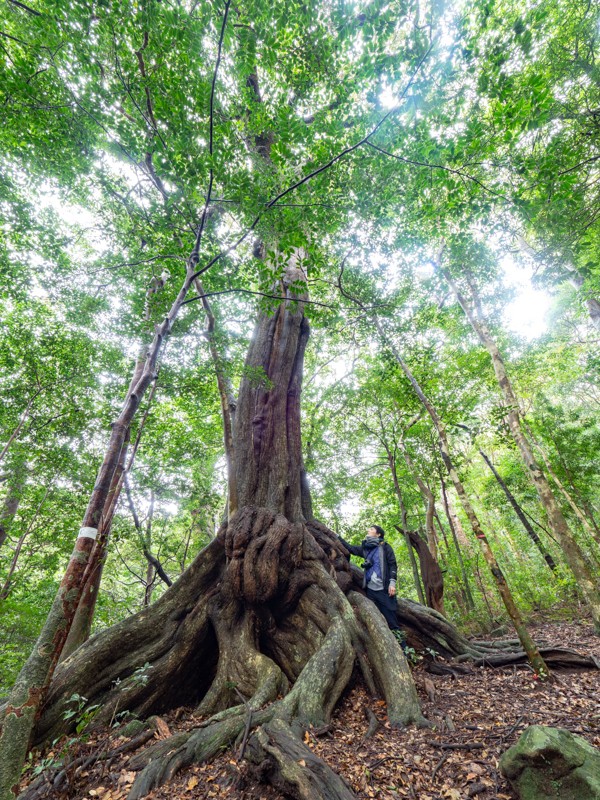 撮影：礒村浩一<br><span class="fnt-85">OLYMPUS OM-D E-M1 Mark II / M.ZUIKO DIGITAL ED 7-14mm F2.8 PRO / 7mm / 絞り優先AE（F8.0・1.3秒・+1EV） / ISO 200</span>