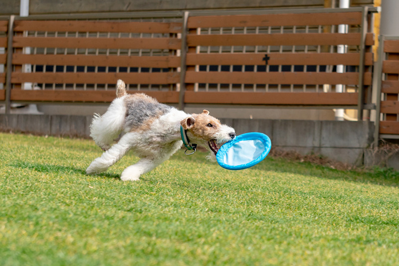 撮影：小川晃代さん<br><span class="fnt-85">α6400 / E 55-210mm F4.5-6.3 OSS / 74mm（111mm相当） / シャッター速度優先AE（1/1,000秒・F5.0・±0.0EV） / ISO 400</span>