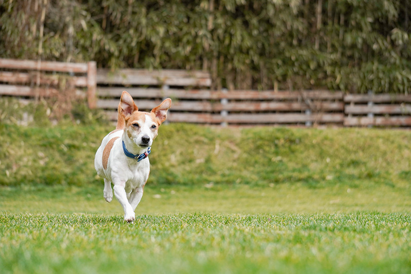 撮影：小川晃代さん<br><span class="fnt-85">α6400 / E 55-210mm F4.5-6.3 OSS / 83mm（124mm相当） / シャッター速度優先AE（1/1,000秒・F5.0・±0.0EV） / ISO 500</span>