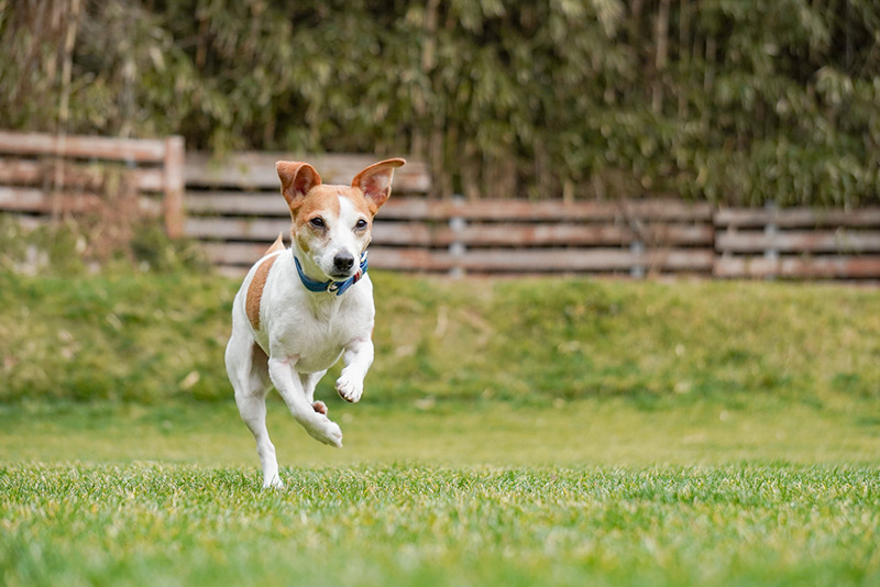 撮影：小川晃代さん<br><span class="fnt-85">α6400 / E 55-210mm F4.5-6.3 OSS / 83mm（124mm相当） / シャッター速度優先AE（1/1,000秒・F5.0・±0.0EV） / ISO 500</span>