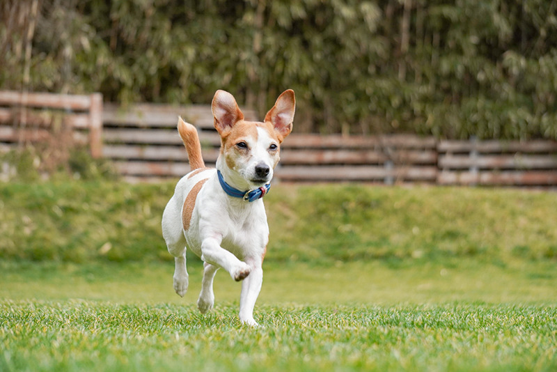 撮影：小川晃代さん<br><span class="fnt-85">α6400 / E 55-210mm F4.5-6.3 OSS / 83mm（124mm相当） / シャッター速度優先AE（1/1,000秒・F5.0・±0.0EV） / ISO 500</span>