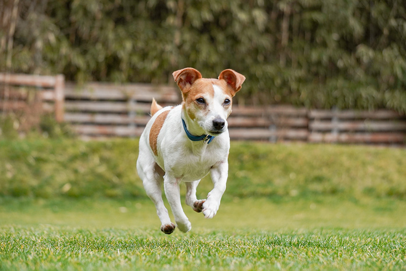 撮影：小川晃代さん<br><span class="fnt-85">α6400 / E 55-210mm F4.5-6.3 OSS / 83mm（124mm相当） / シャッター速度優先AE（1/1,000秒・F5.0・±0.0EV） / ISO 500</span>
