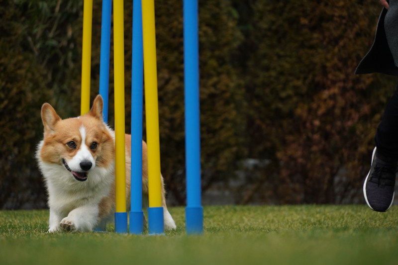 撮影：岡田美友紀さん<br><span class="fnt-85">α6400 / E 55-210mm F4.5-6.3 OSS / 135mm（202mm相当） / シャッター速度優先AE（1/1,600秒・F5.6・±0.0EV） / ISO 640</span>