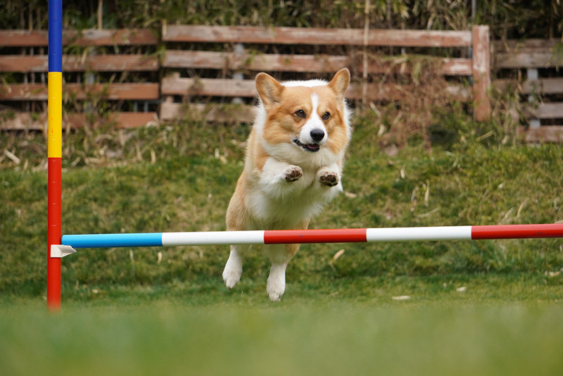 撮影：岡田美友紀さん<br><span class="fnt-85">α6400 / E 55-210mm F4.5-6.3 OSS / 125mm（187mm相当） / シャッター速度優先AE（1/1,600秒・F6.3・±0.0EV） / ISO 640</span>