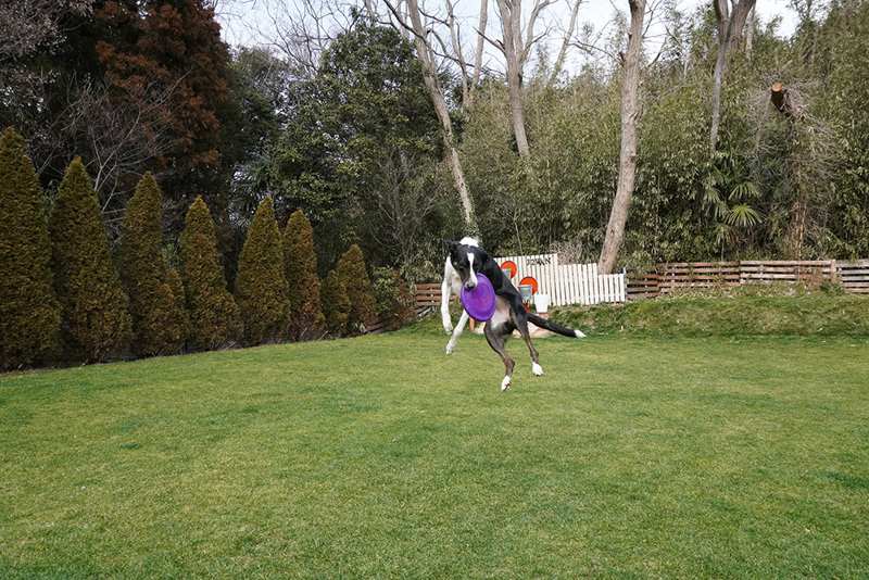 撮影：七海さん<br><span class="fnt-85">α6400 / E PZ 16-50mm F3.5-5.6 OSS / 16mm（24mm相当） / シャッター速度優先AE（1/1,000秒・F8.0・±0.0EV） / ISO 1000</span>