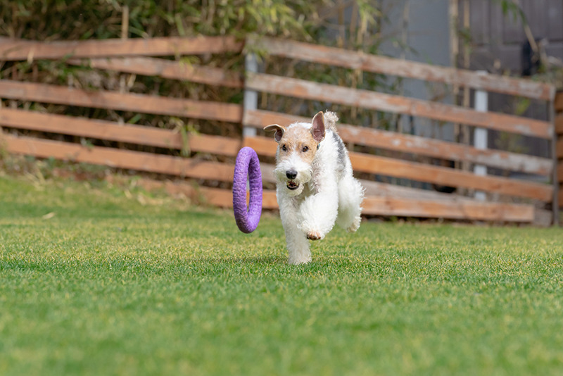 撮影：小川晃代さん<br><span class="fnt-85">α7 III /  FE 70-200mm F2.8 GM OSS / 173mm / シャッター速度優先AE（1/1,250秒・F4.5・-0.3EV） / ISO 640</span>