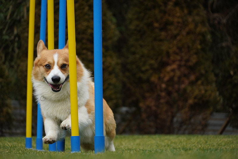 撮影：岡田美友紀さん<br><span class="fnt-85">α6400 / E 18-135mm F3.5-5.6 OSS / 135mm（202mm相当） / シャッター速度優先AE（1/1,600秒・F5.6・±0.0EV） / ISO 640</span>