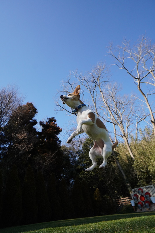 撮影：Kaorinさん<br><span class="fnt-85">α6400 / E 10-18mm F4 OSS / 16mm（24mm相当） / シャッター速度優先AE（1/2,000秒・F6.3・±0.0EV） / ISO 800</span>