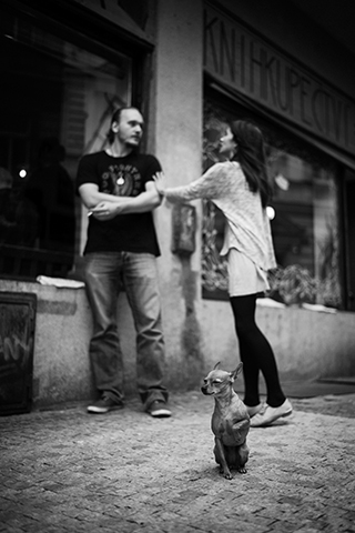コムロミホ写真展：PRAHA Life with the Dog - デジカメ Watch