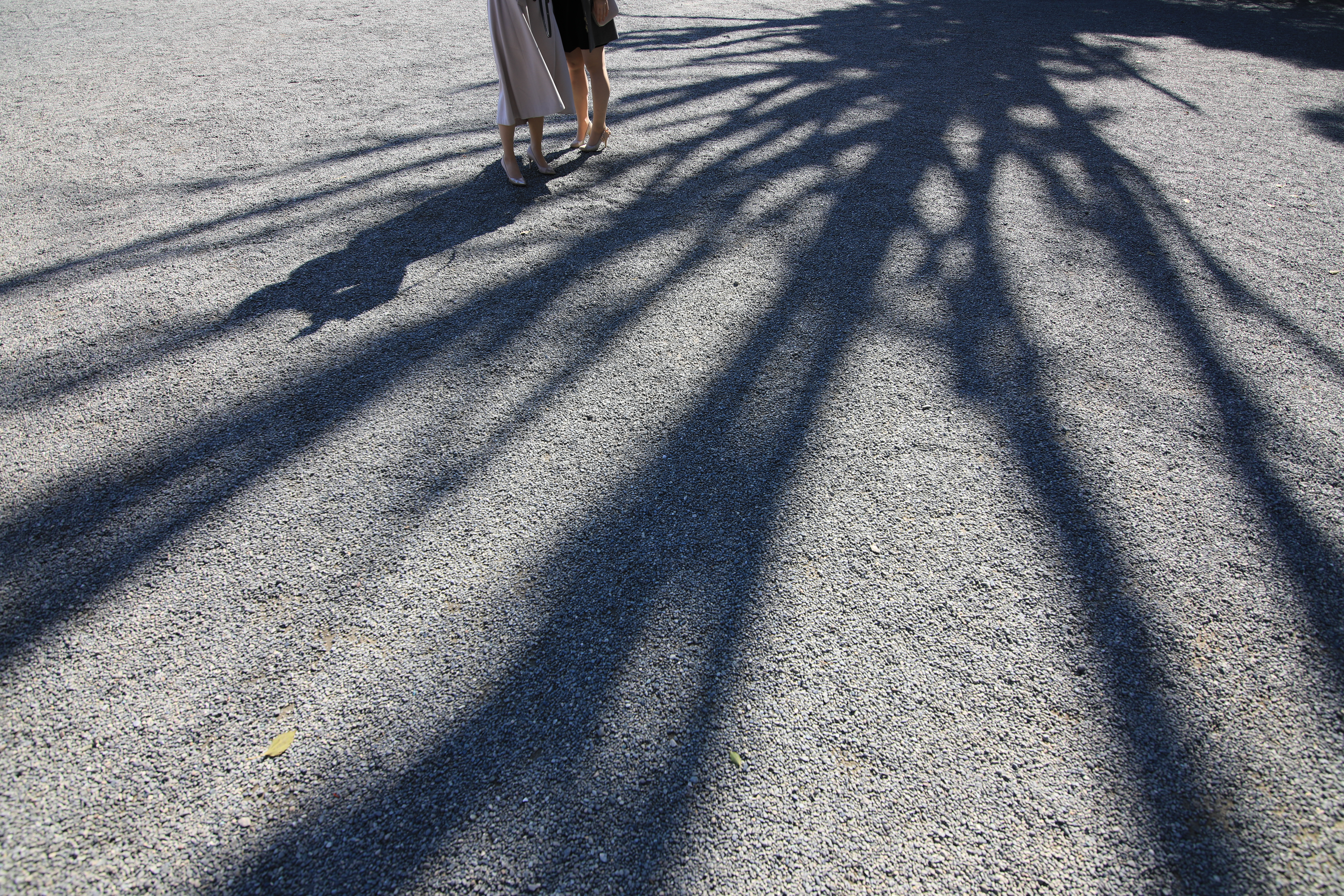 EOS 5D Mark IV / opera 16-28mm F2.8 FF / 16mm / 絞り優先AE（F5.6・1/250秒・±0EV） / ISO 100