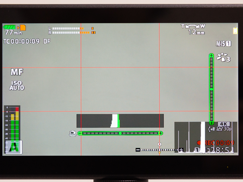 グリッド、ヒストグラム（右下）、オーディオレベルメーター（左下）を表示したところ。