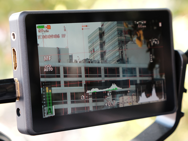 フォーカスピーキングの表示例。