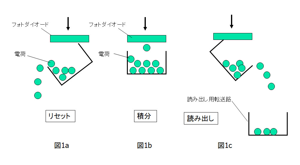 図1：撮像素子シャッターの動作原理。電荷のリセットで露出が始まり、貯まった電荷を読み出すと露出が終わる。