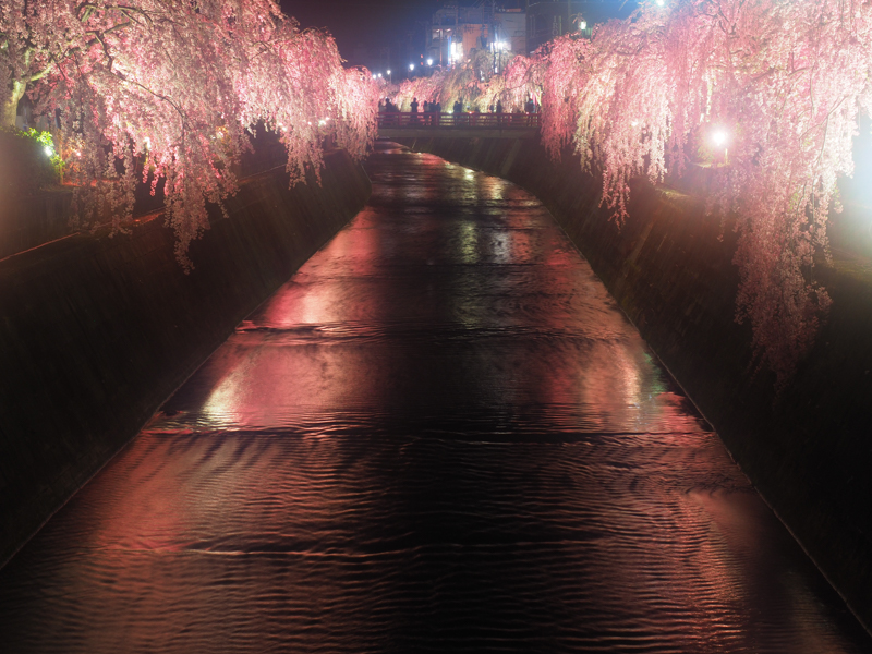 E-M1 Mark II / M.ZUIKO DIGITAL ED 12-40mm F2.8 PRO / 40mm（80mm相当） / 絞り優先AE（2.0秒・F8.0・-0.3EV） / ISO 200