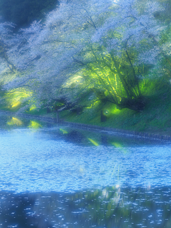 E-M1 Mark II / M.ZUIKO DIGITAL ED 40-150mm F2.8 PRO / 52mm（104mm相当） / 絞り優先AE（3.2秒・F5.6・-0.7EV） / ISO 200