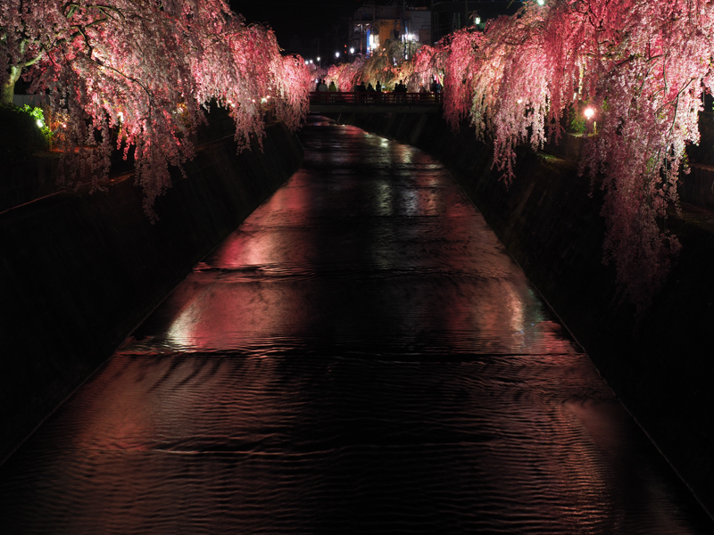 E-M1 Mark II / M.ZUIKO DIGITAL ED 12-40mm F2.8 PRO / 40mm（80mm相当） / 絞り優先AE（2.0秒・F5.6・-1.3EV） / ISO 200