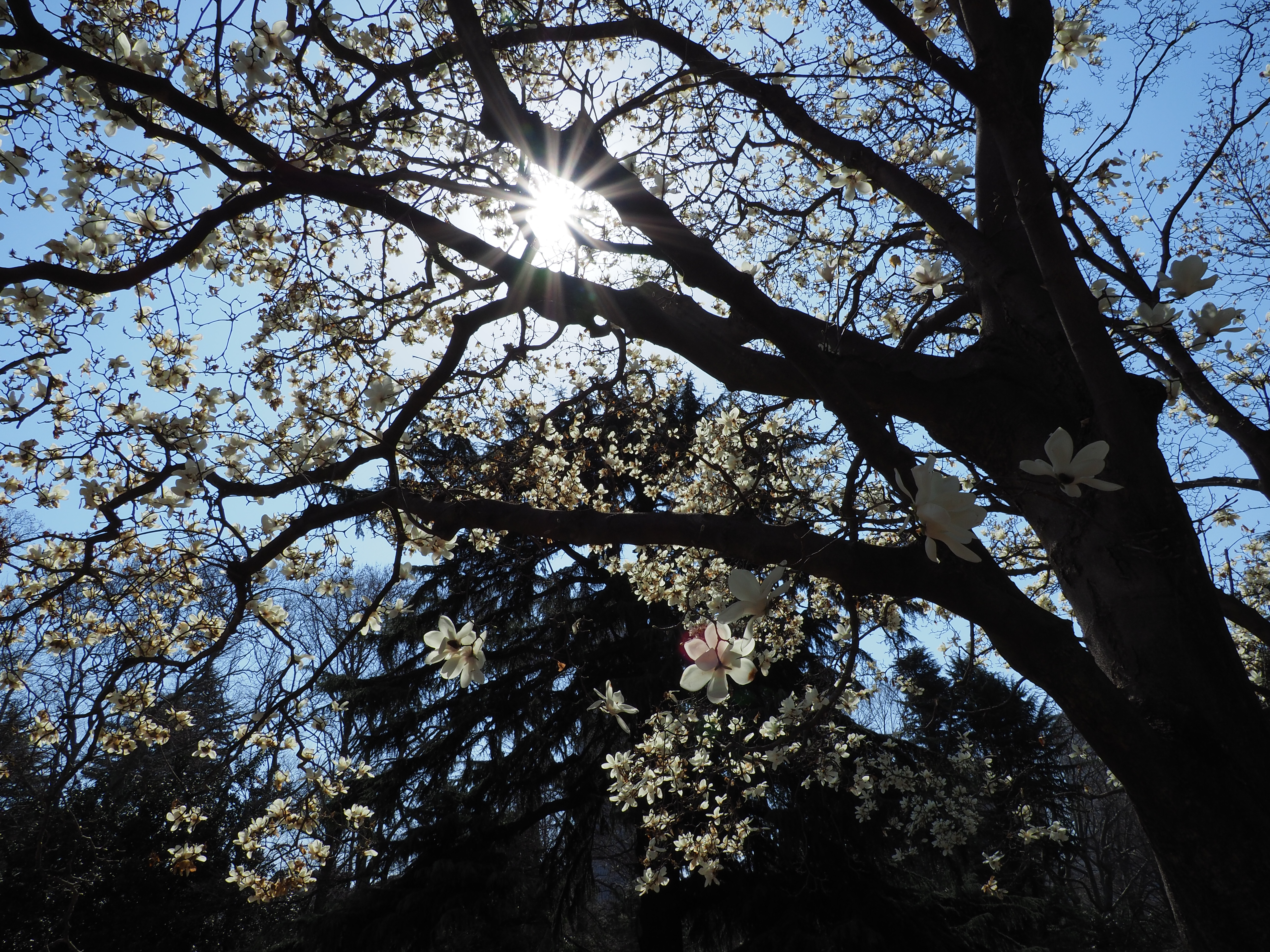 OM-D E-M1 Mark II / M.ZUIKO DIGITAL ED 12-200mm F3.5-6.3 / 12mm / 絞り優先AE（F16・1/160秒・-0.3EV） / ISO 200