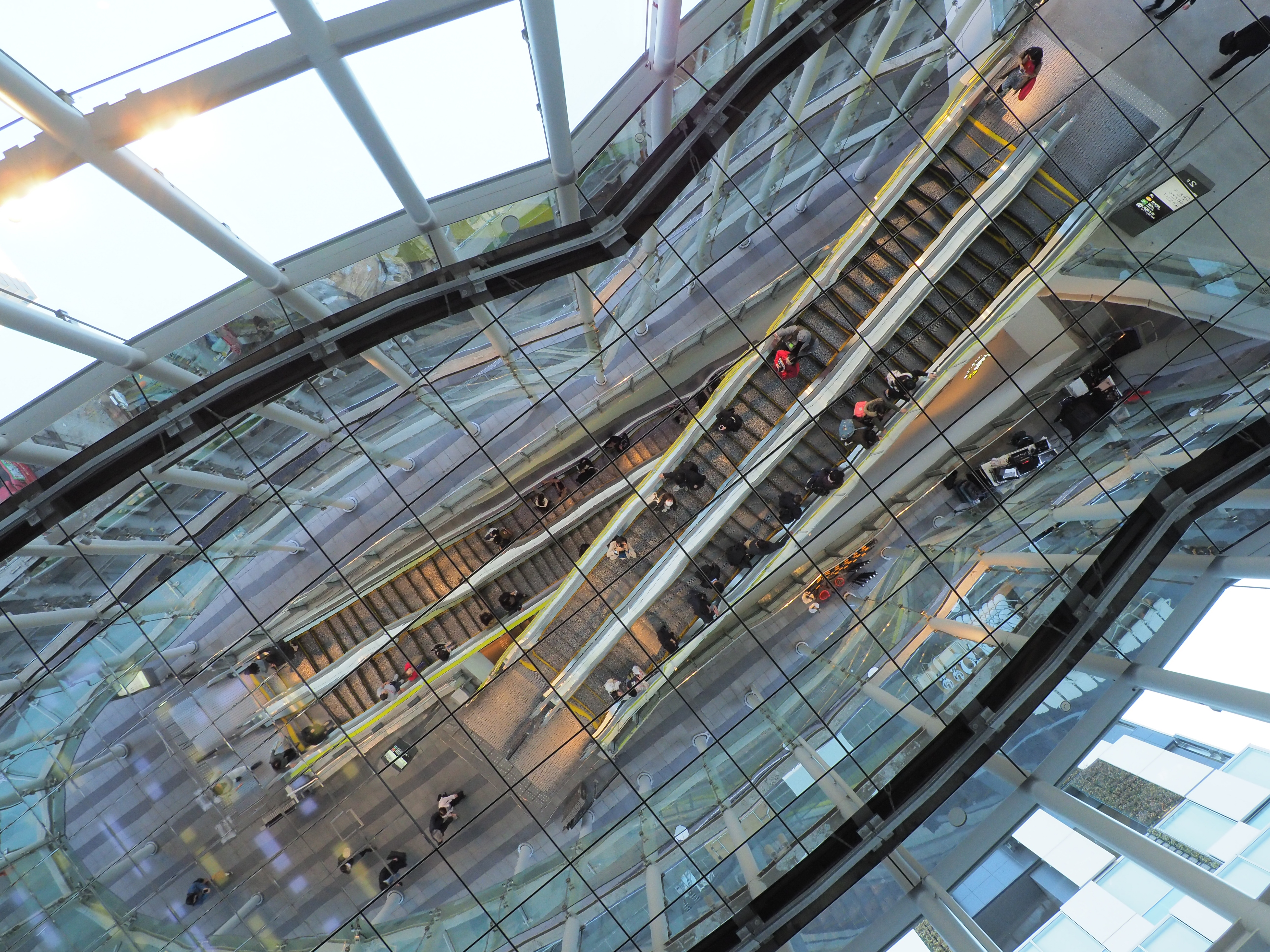 OM-D E-M1 Mark II / M.ZUIKO DIGITAL ED 12-200mm F3.5-6.3 / 12mm / 絞り優先 AE（F8・1/60秒・±0EV） / ISO 1000