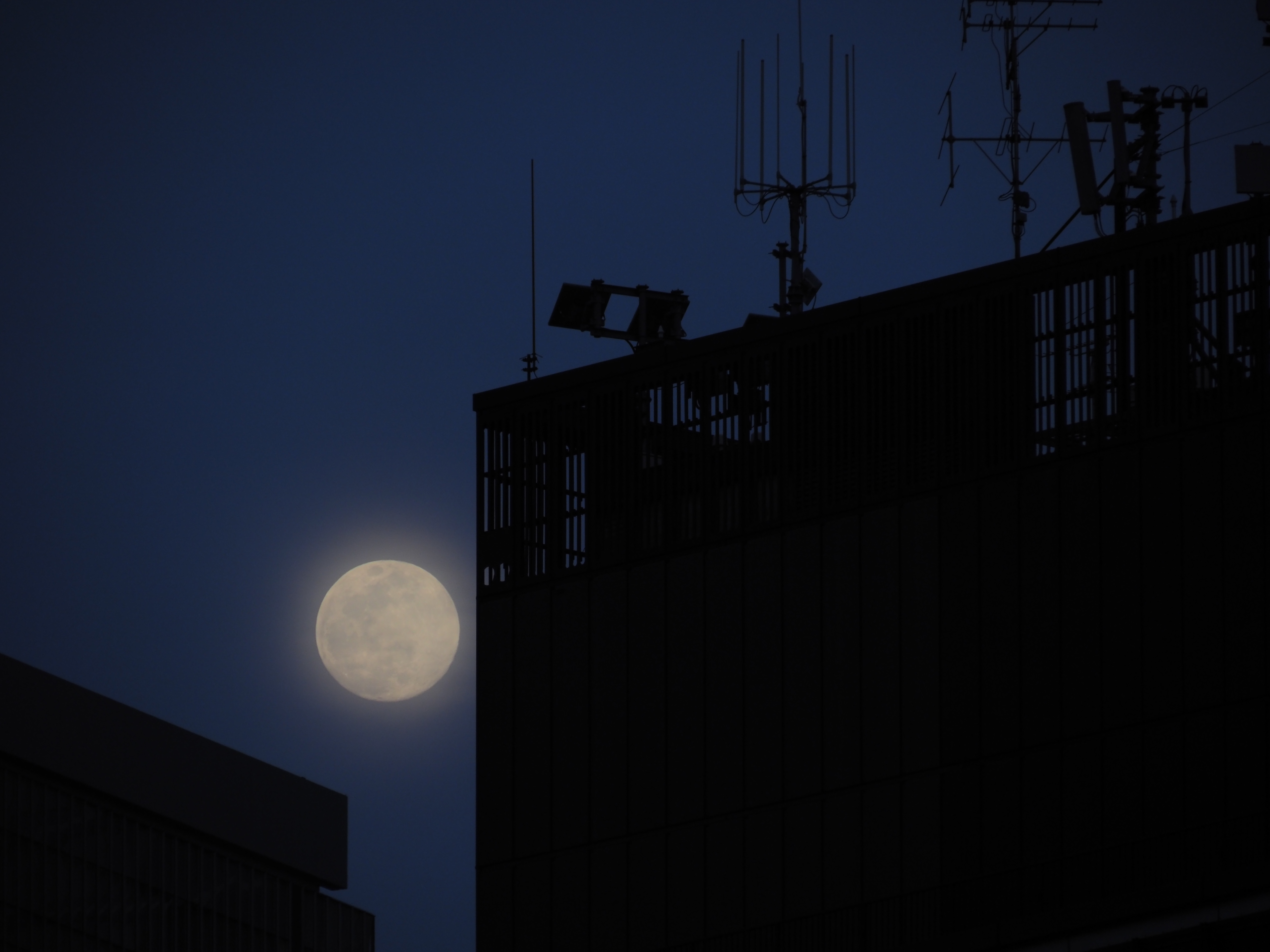 OM-D E-M1 Mark II / M.ZUIKO DIGITAL ED 12-200mm F3.5-6.3 / 200mm / 絞り優先AE（F6.3・1/40秒・-3.0EV） / ISO 200