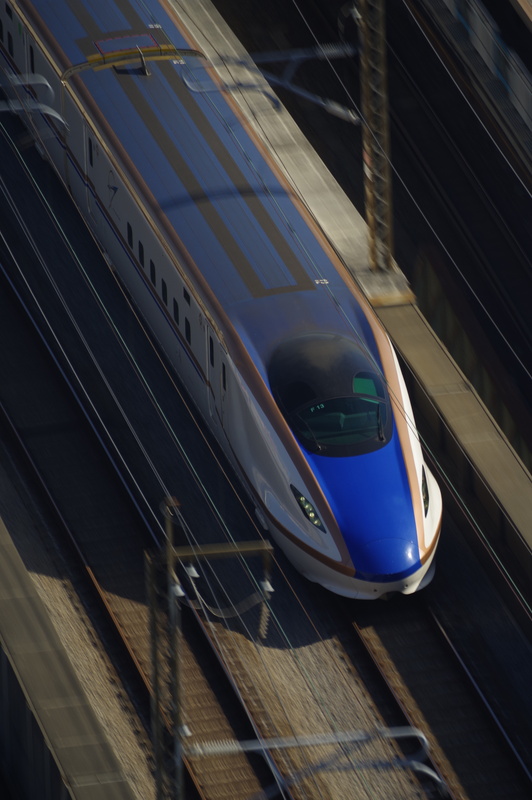 PENTAX KP / シャッター優先AE（F9.0・1/50秒・-1.3EV） / ISO 100 / カスタムイメージ 鮮やか / WBオート / 300mm（460mm相当）