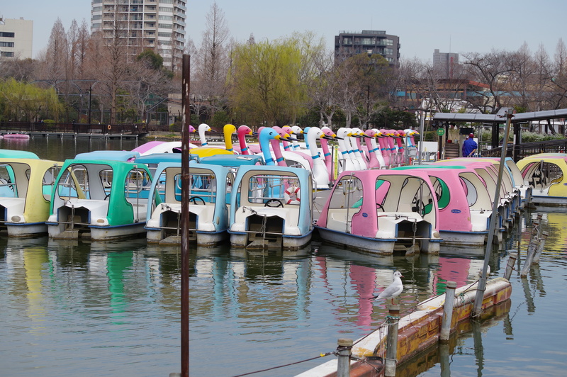 ワイド端（55mm）時