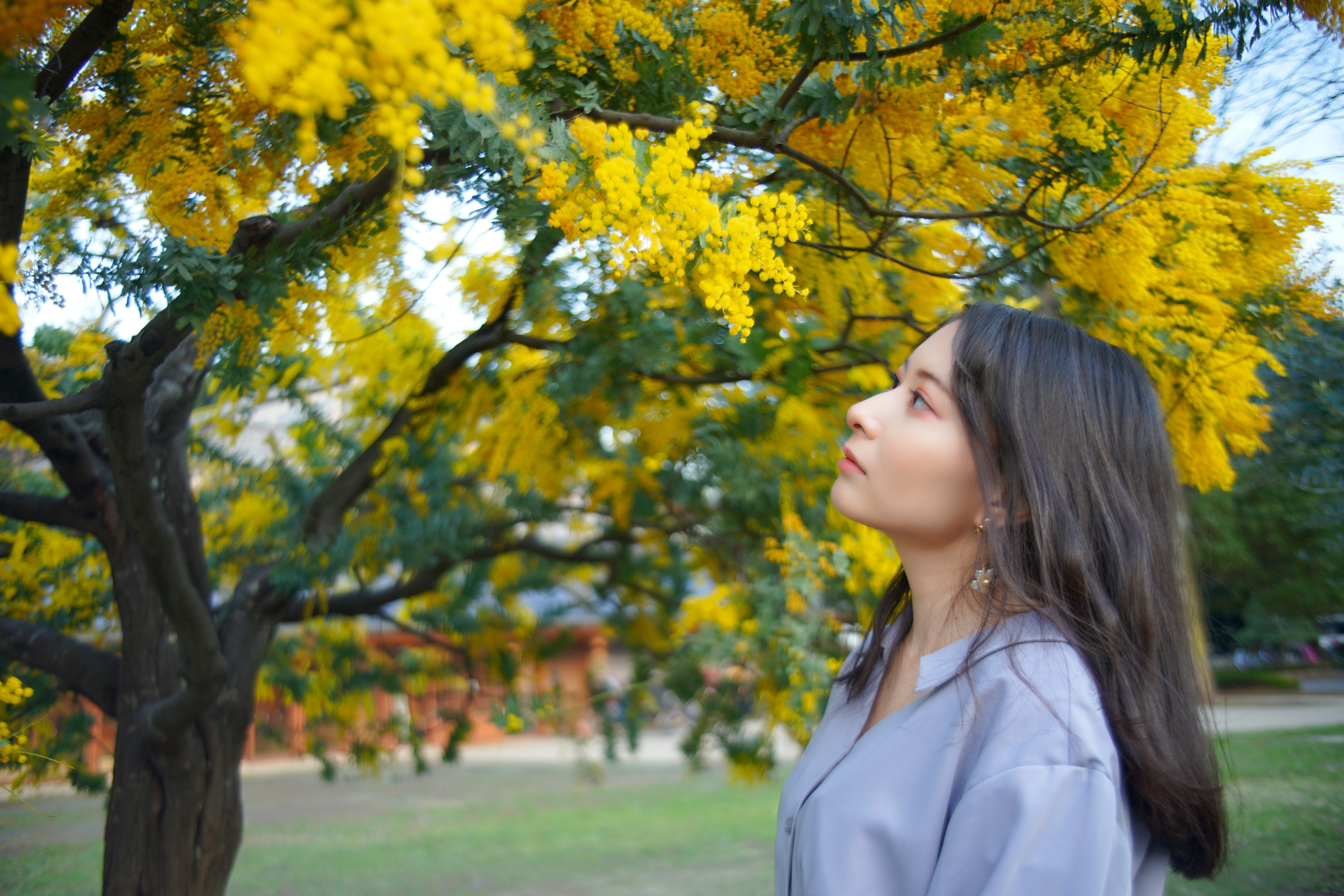 α7 II / Lomogon 2.5/32 / 1/60秒 / F2.5 / ISO 100（モデル：yumi）