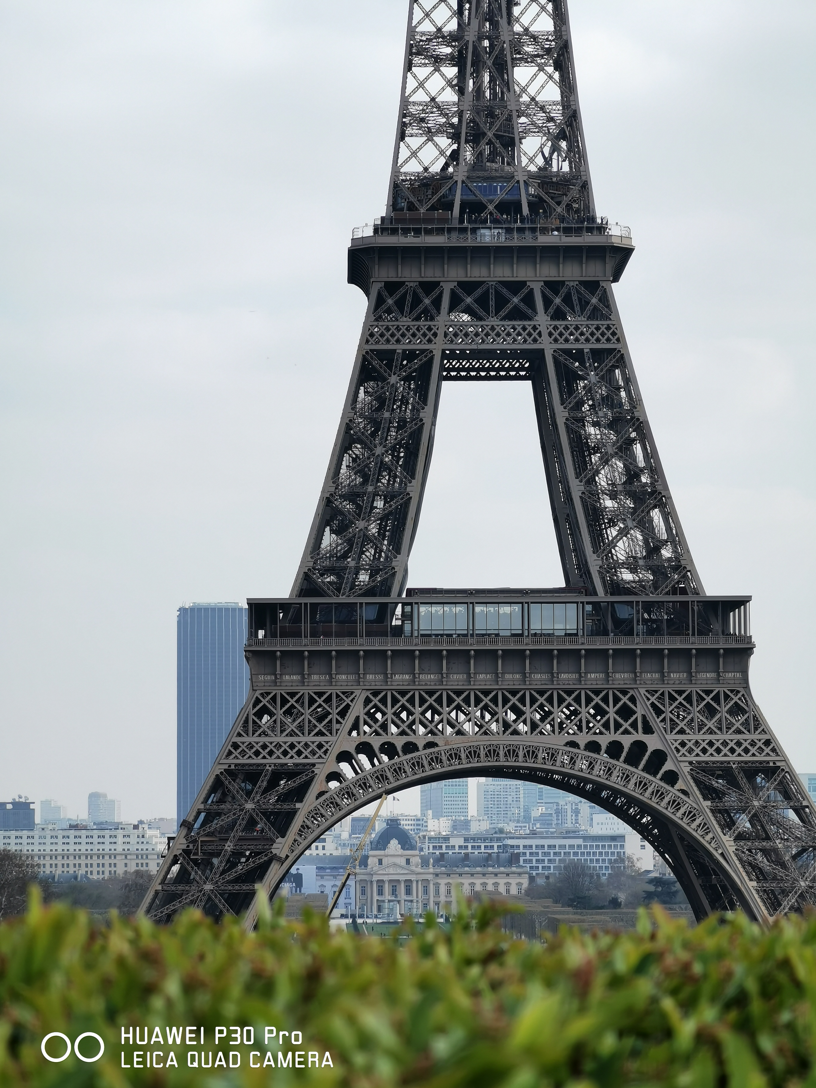 解像感に驚いた1枚。左下に"スマホで撮りましたよ！"的なマークを入れた。35mm判換算135mm相当、ISO 50、シャッタースピード1/384秒。フルオート撮影。