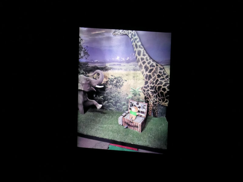 しかし撮影後に再生画面を開くと、嘘のように写っている。