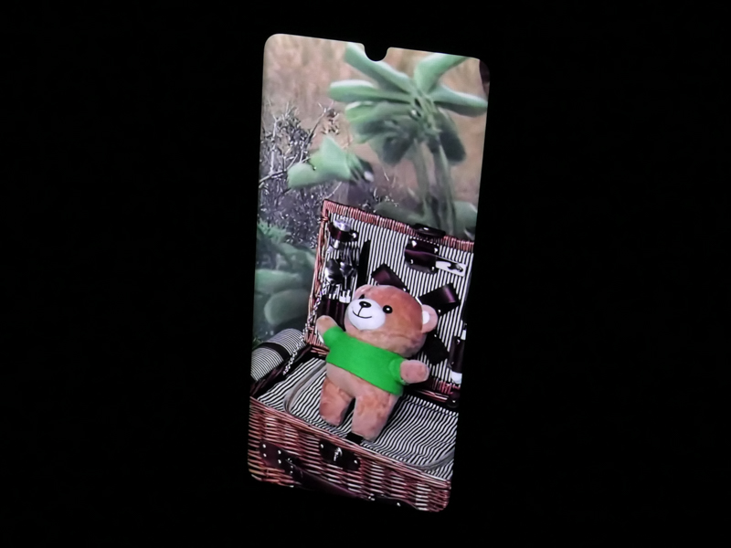 部分拡大したところ。若干"塗り絵"的ではあるが、ザラつきは目立たず、よく写っている。